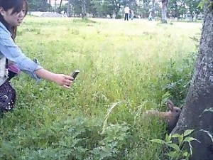 0817廃墟不動産投資βと、東京湾クルーズ増席 (2)