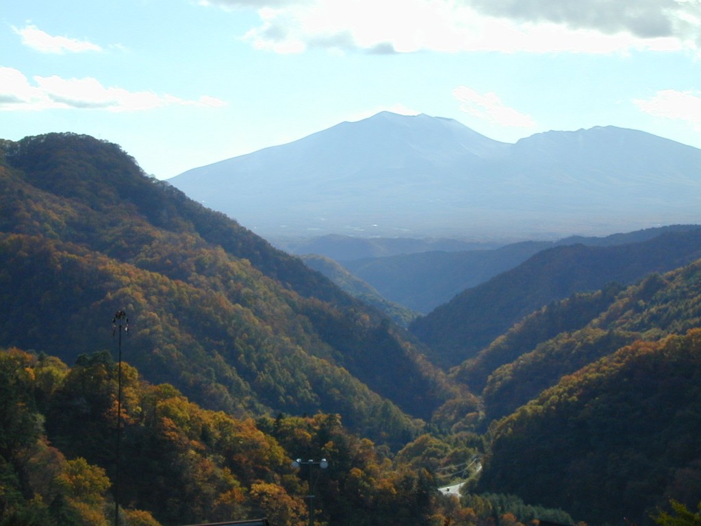 1008-%e4%b8%8d%e5%8b%95%e7%94%a3%e6%8a%95%e8%b3%87%e5%ae%b6%e3%81%8c%e3%82%b3%e3%83%b3%e3%82%b5%e3%83%ab%e3%82%bf%e3%83%b3%e3%83%88%e5%8c%96%e3%81%99%e3%82%8b%e7%90%86%e7%94%b1